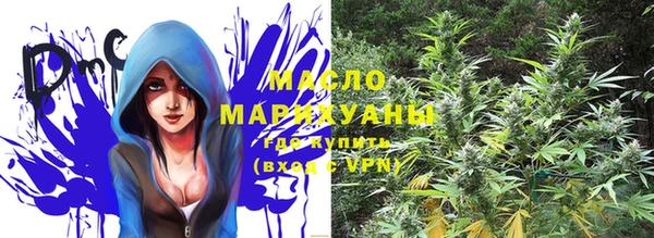 индика Баксан