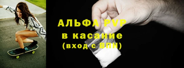 индика Баксан