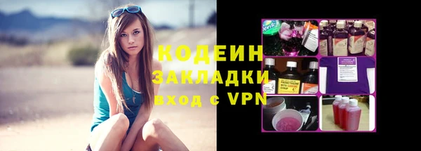 индика Баксан