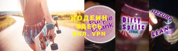 индика Баксан