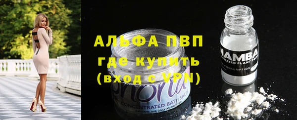 индика Баксан