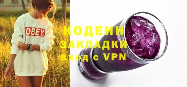 индика Баксан