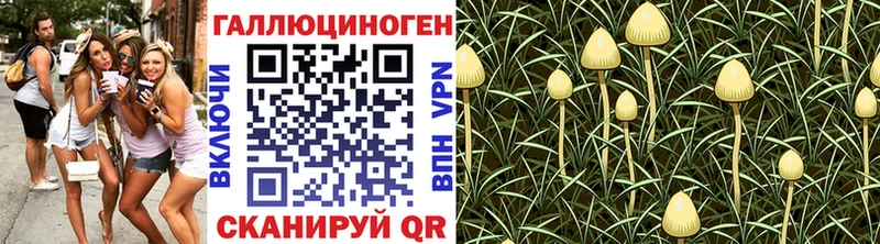 Галлюциногенные грибы Cubensis  блэк спрут ССЫЛКА  Гороховец 